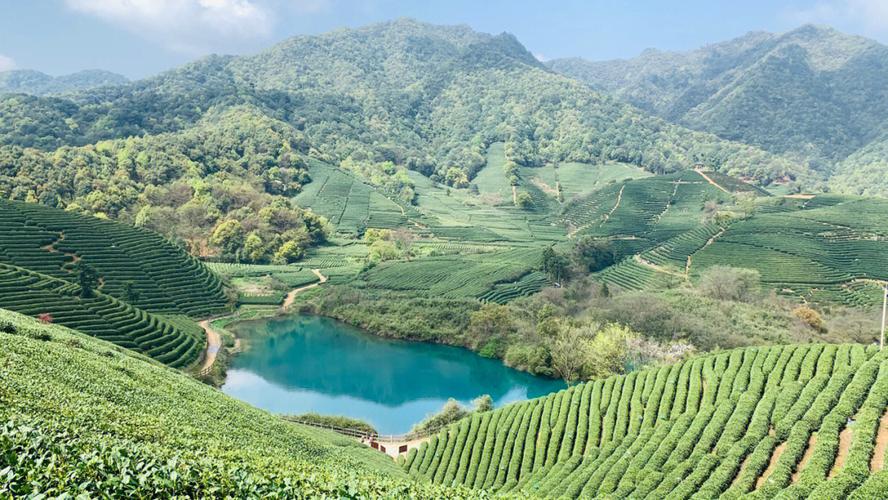 杭州龙坞风景区攻略-图2