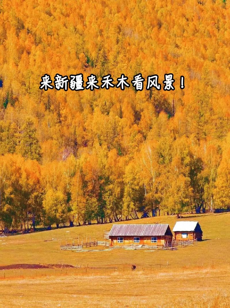 新疆禾木风景区游记-图2