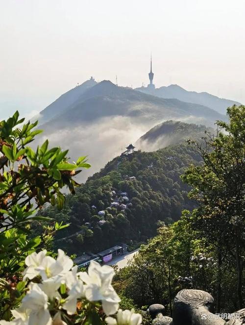 深圳的自然风景区-图1