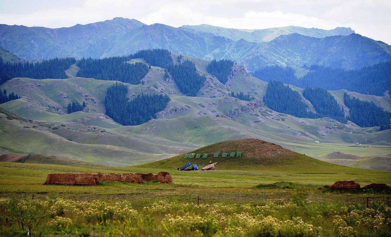 新疆南山风景区游记-图2