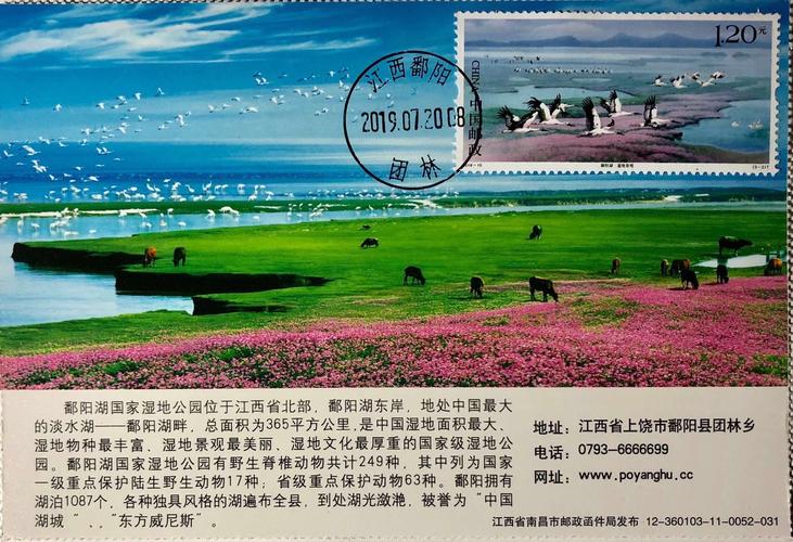 鄱阳湖风景区门票-图1