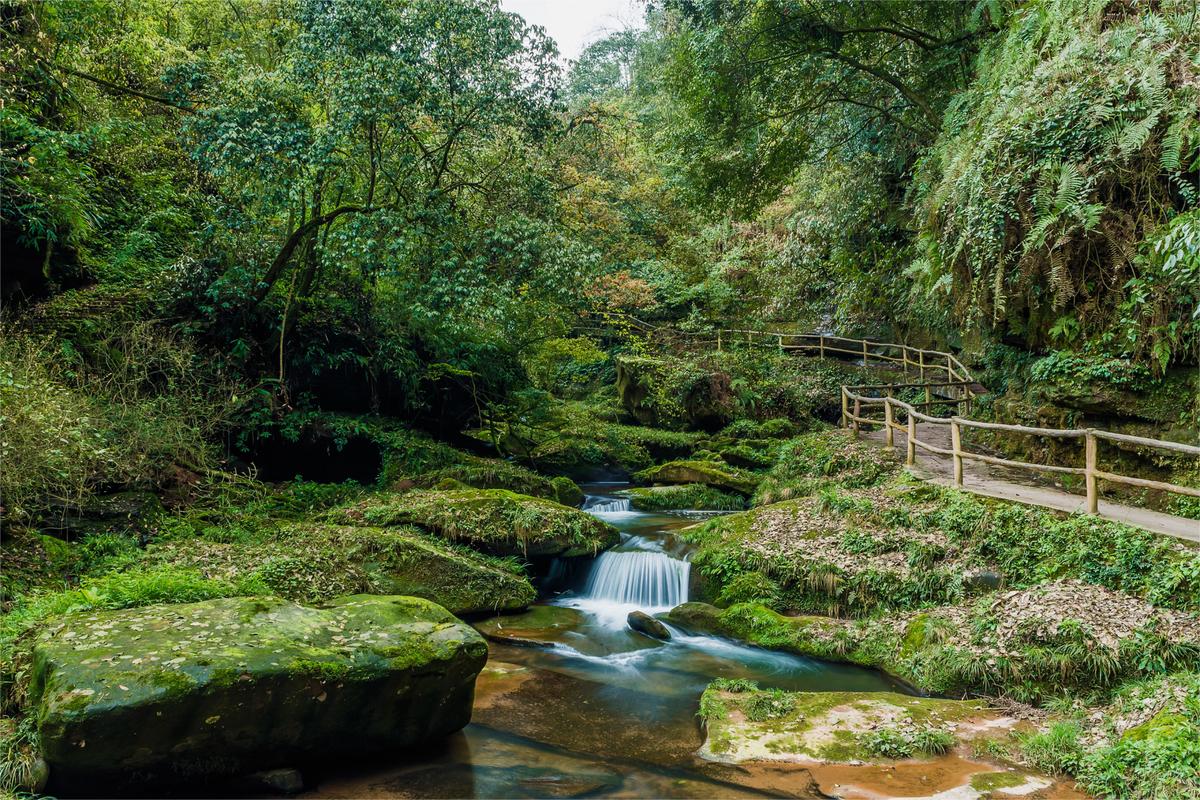 碧峰峡风景区照片-图2