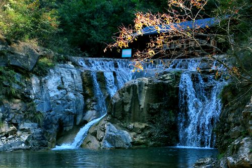 新洲凤凰谷风景区-图2