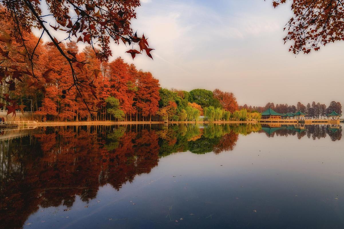 武汉市东湖风景区-图2