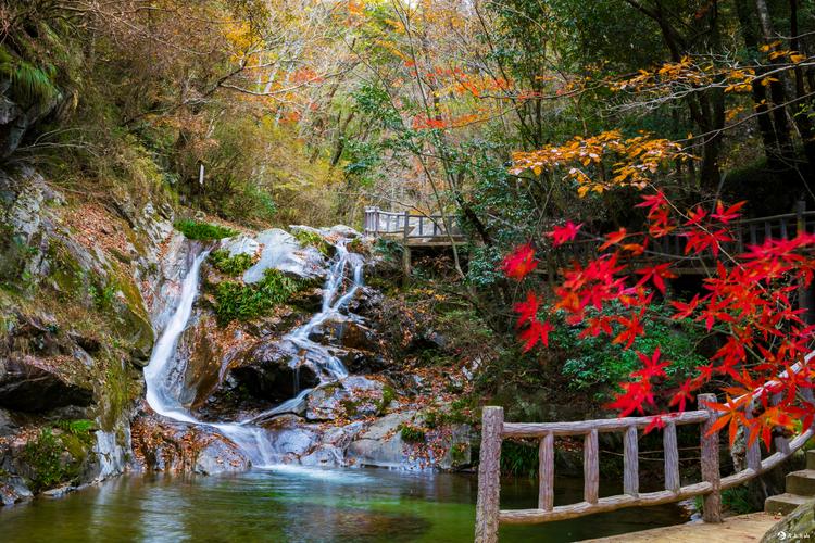 桃花冲风景区-图2