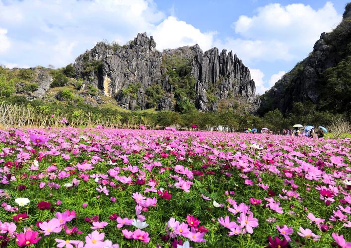 春湾石林风景区-图1