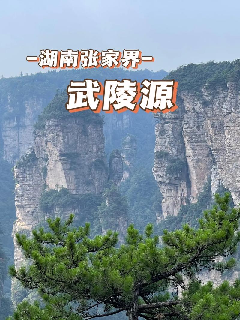 张家界风景区介绍-图2