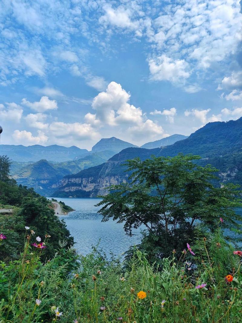 金山湖风景区-图2