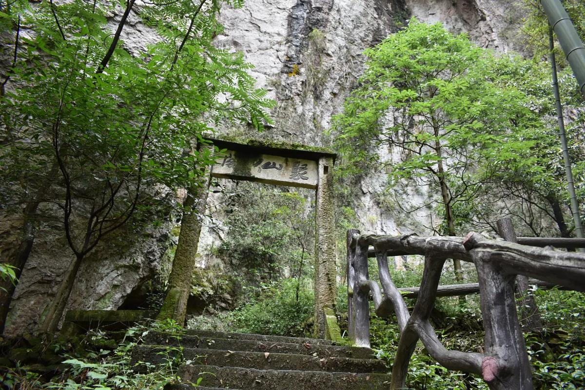 寿仙谷风景区-图1