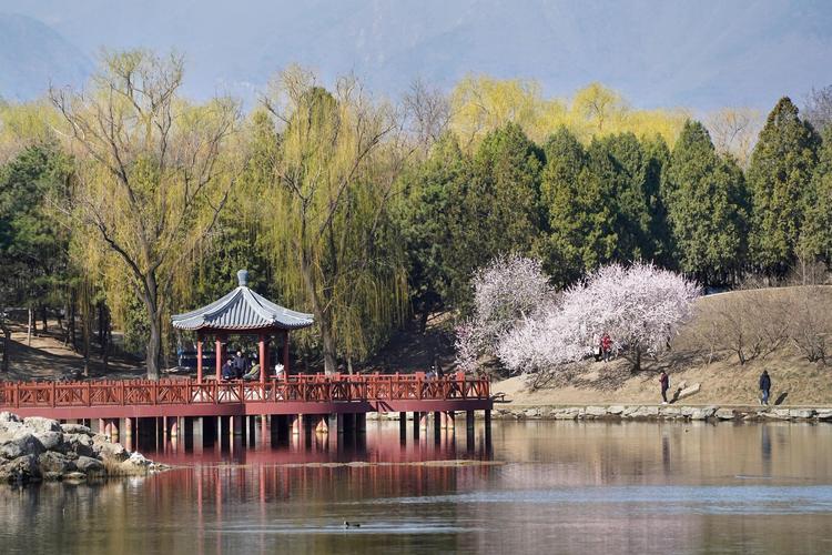 桃花坞风景区-图1