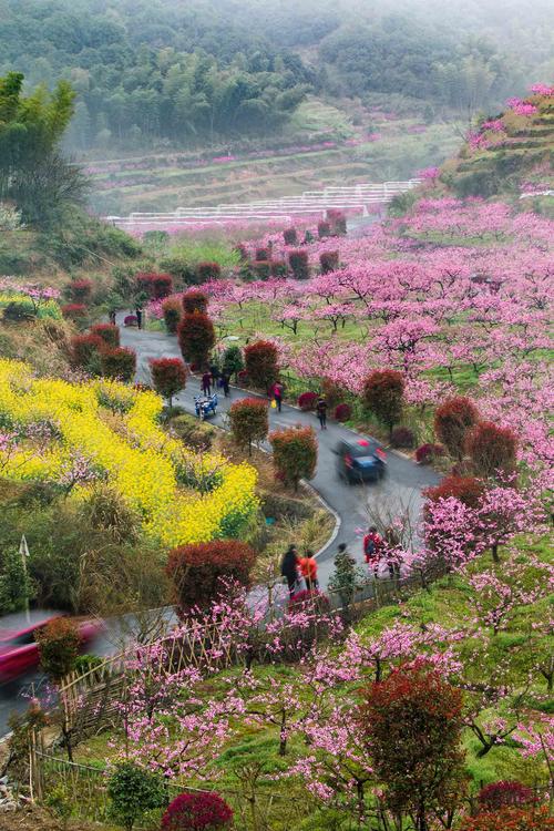 桃花坞风景区-图3