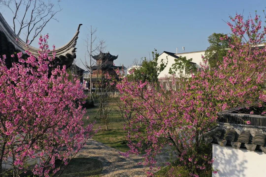 桃花坞风景区-图2