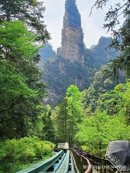 张家界武陵源风景区-图1