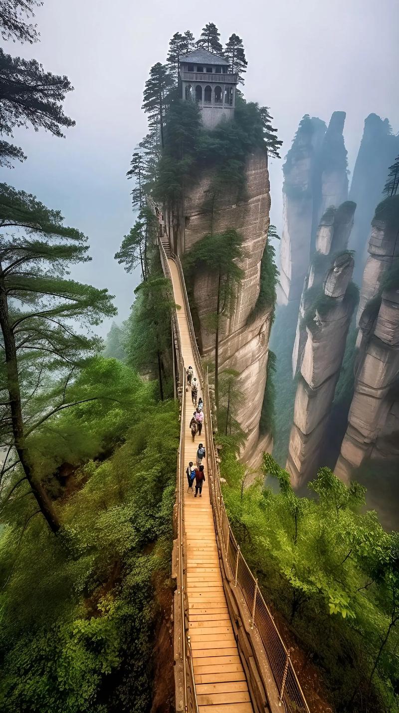 张家界武陵源风景区-图3