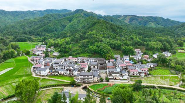 屯溪到黄山风景区-图1