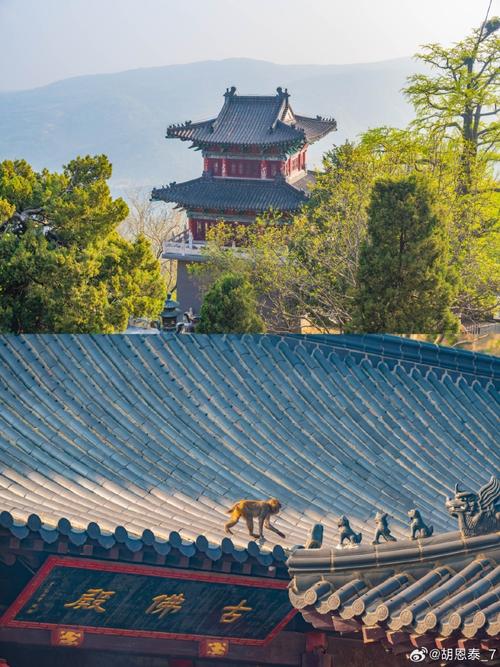 连云港花果山风景区-图3