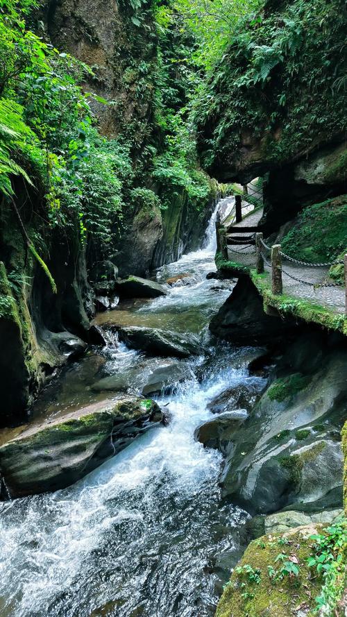 哀牢山风景区-图2