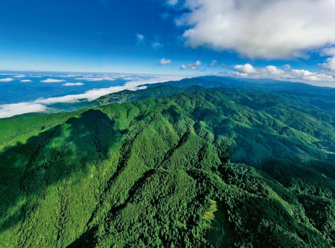 哀牢山风景区-图3