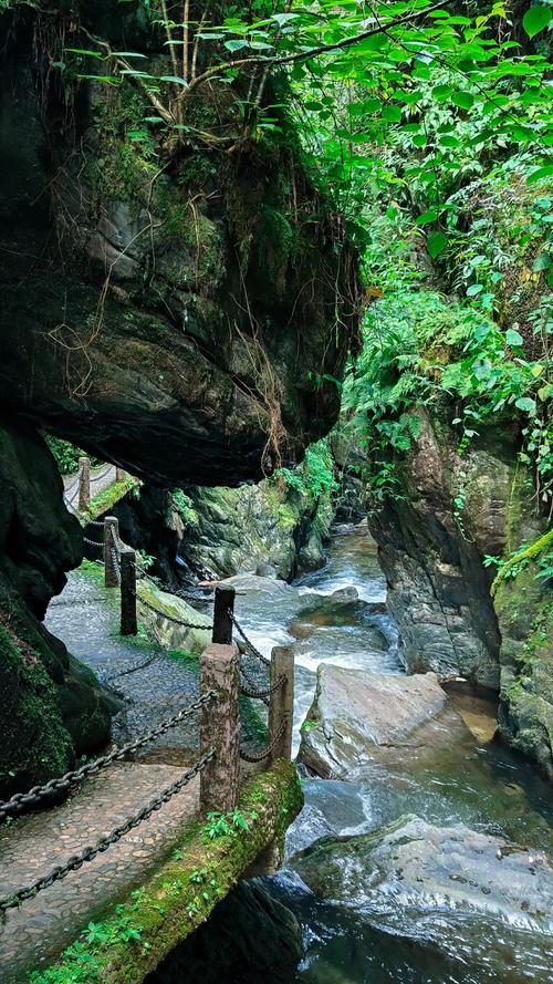 哀牢山风景区-图1