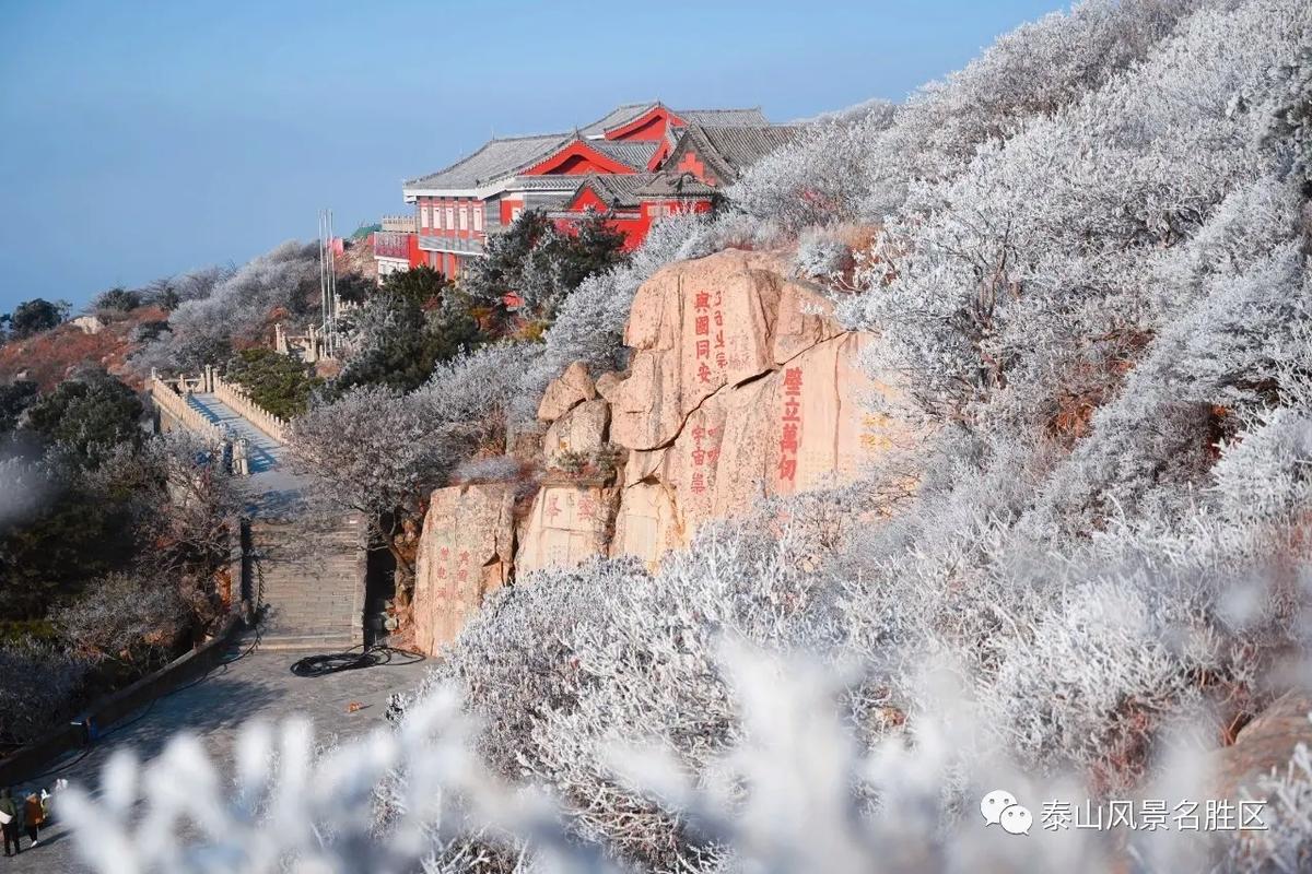 泰山风景区电话-图2