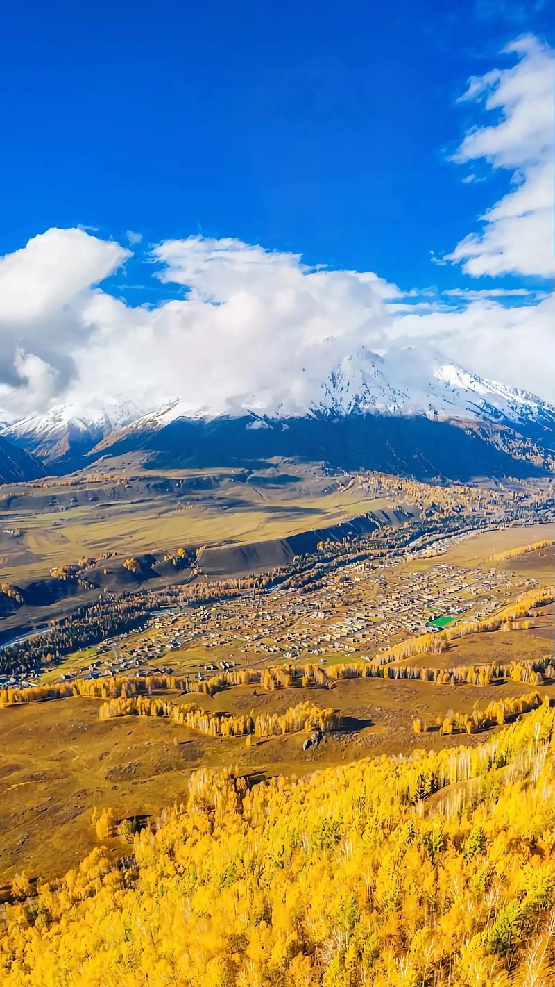 新疆禾木风景区-图3