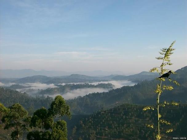 成都云顶山风景区-图3