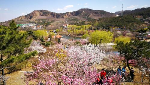 十梅庵风景区-图1