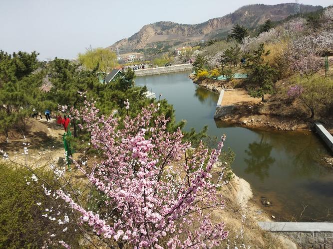 十梅庵风景区-图3