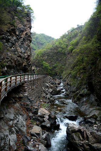 小沟背风景区-图2