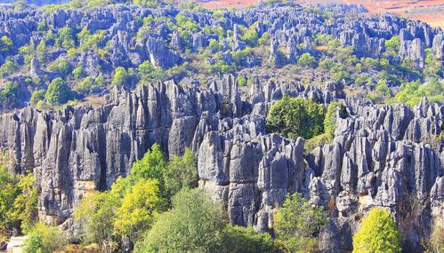 乃古石林风景区-图2