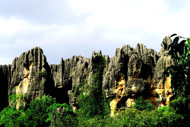 乃古石林风景区-图3