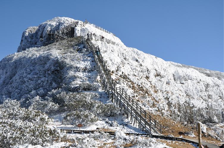 昆明轿子雪山风景区-图2