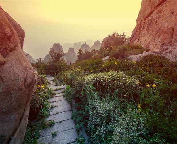 李村到崂山风景区-图3