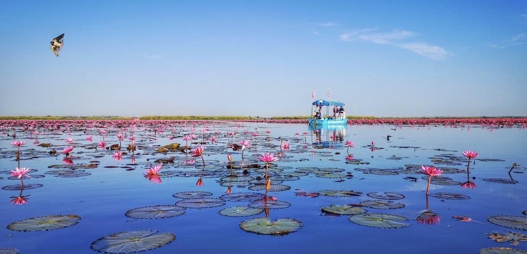 红莲湖风景区-图1