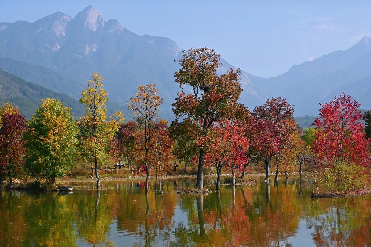 九资河风景区-图1