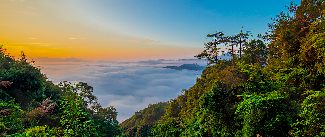 龙栖山自然风景区-图3