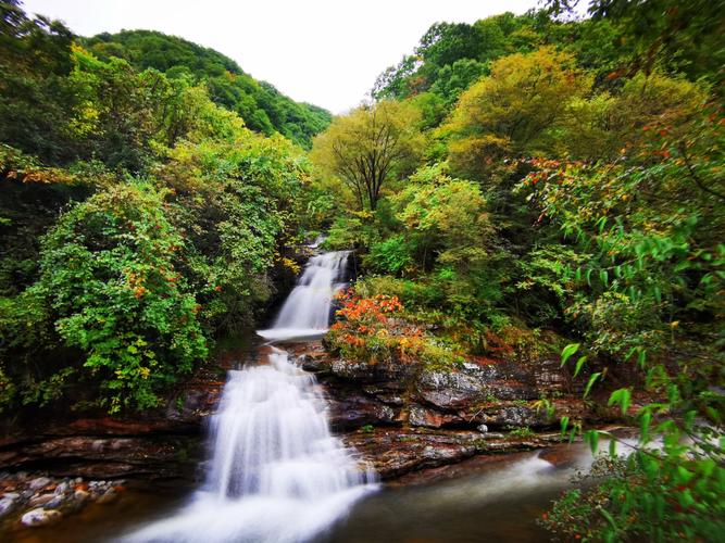 太白县黄柏塬风景区-图3