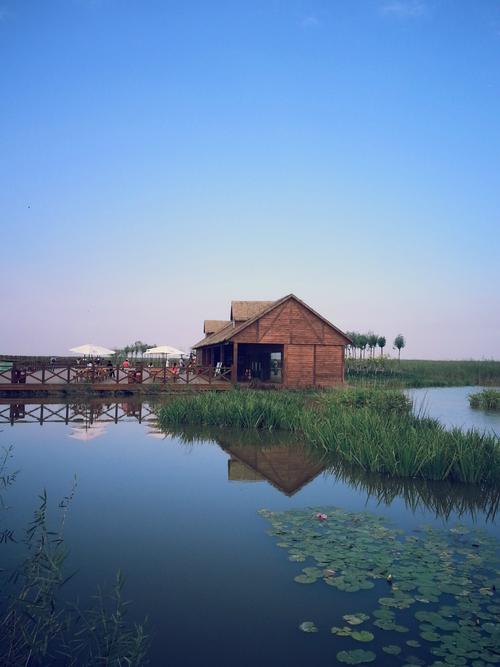 七里海鸟岛风景区-图3