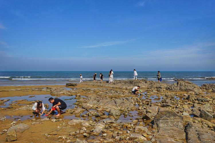 天津赶海拾贝风景区-图2