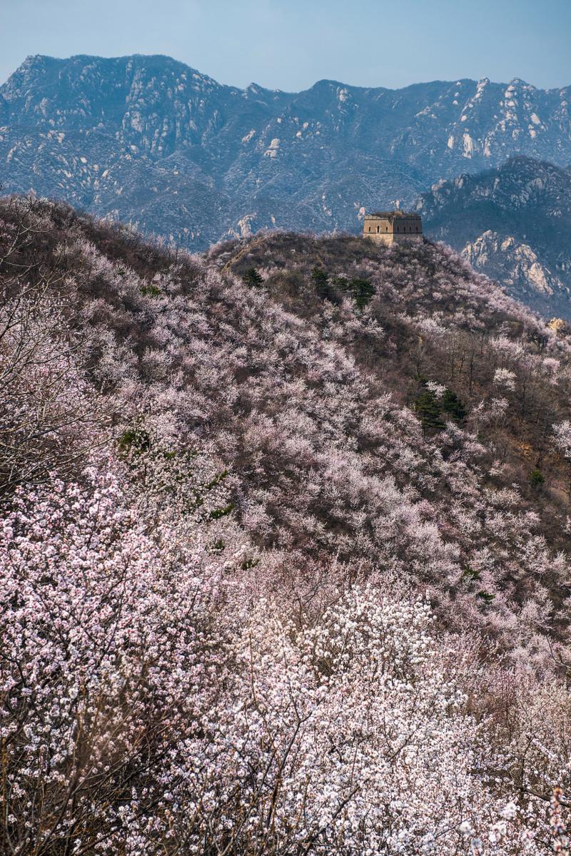 北京百花山风景区-图2