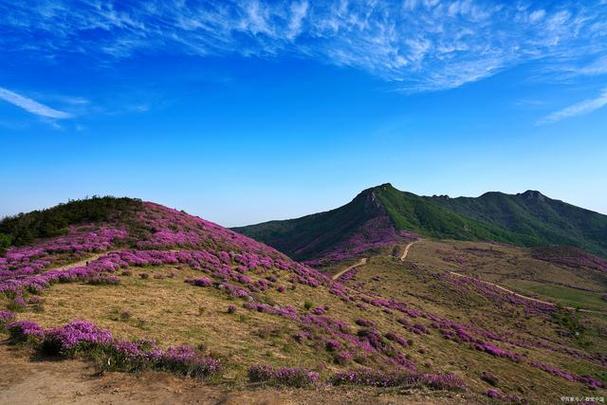 北京百花山风景区-图3