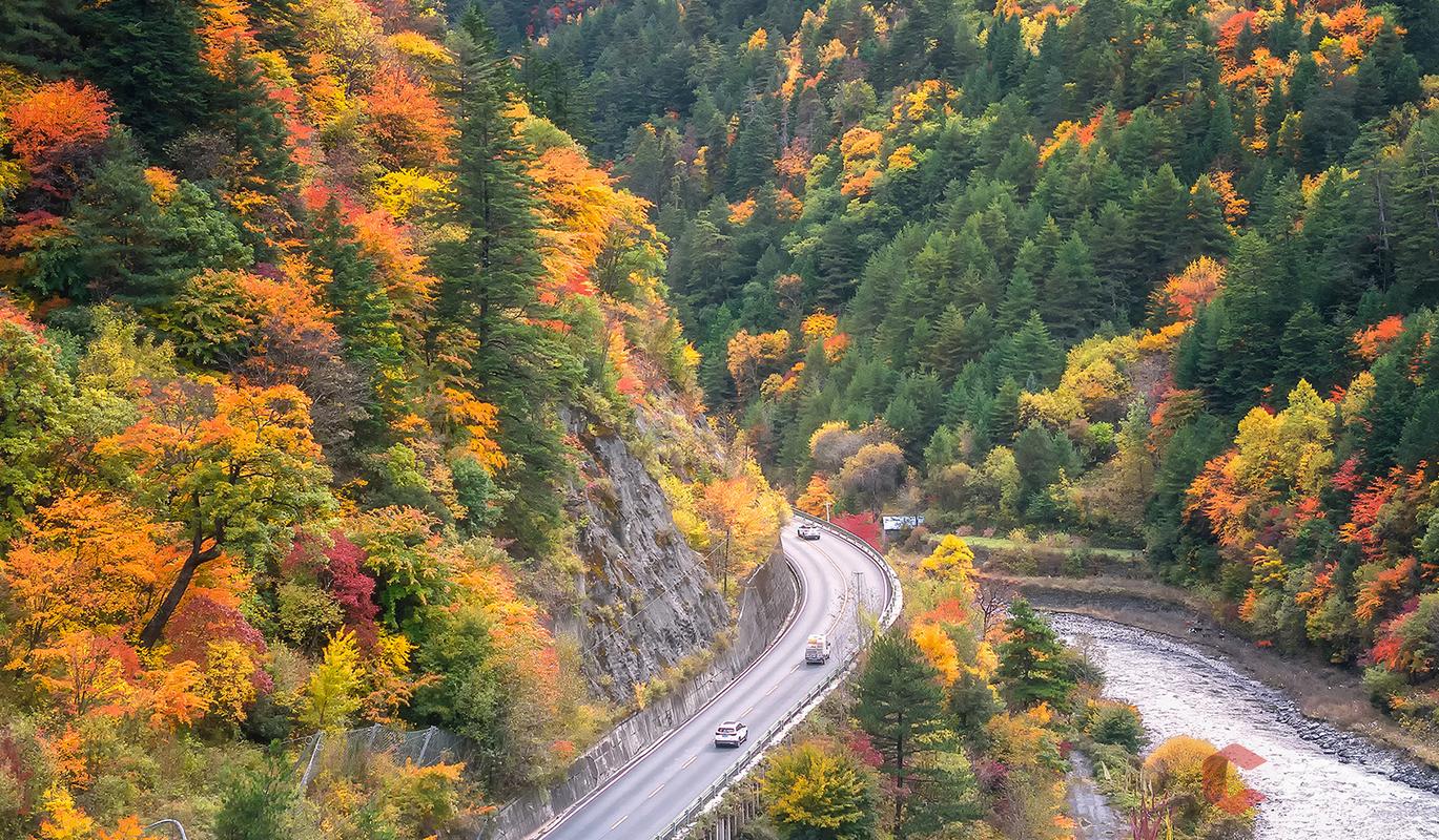 米亚罗红叶风景区-图2