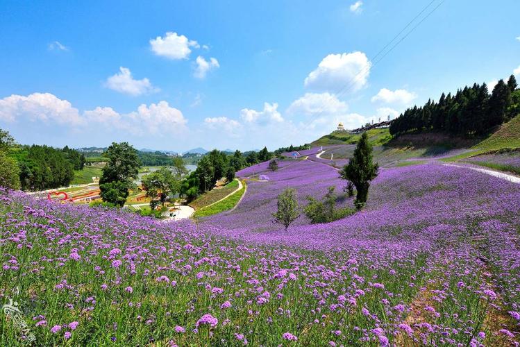 花千谷文化旅游风景区-图1