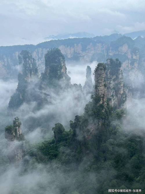 张家界大峡谷风景区-图2