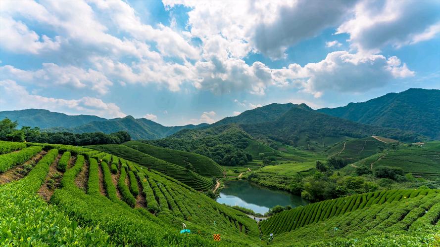 杭州龙坞风景区-图1