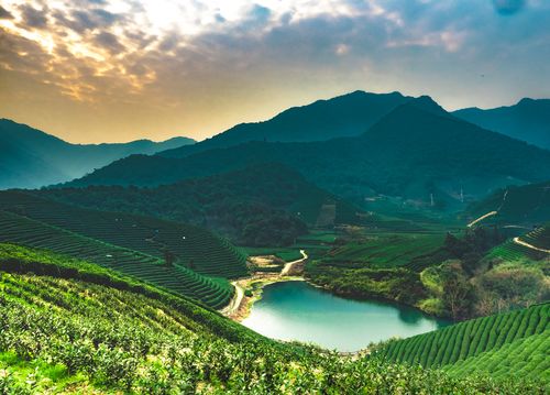 杭州龙坞风景区-图2