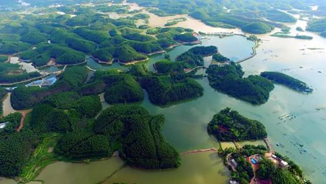 广西横县风景区-图1