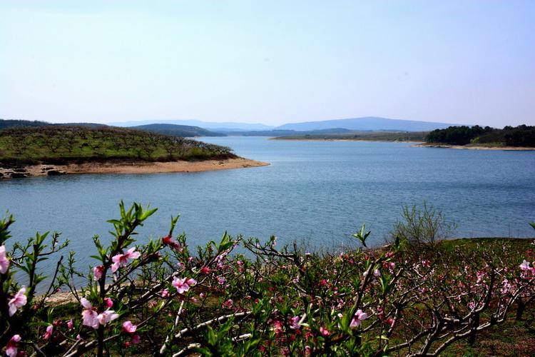 跃龙湖风景区-图2