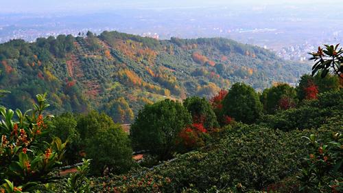 白露山风景区-图3