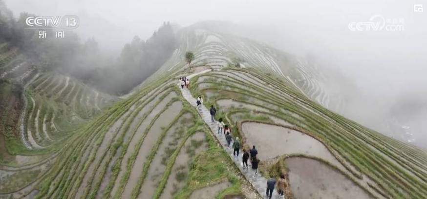 溪头风景区-图2